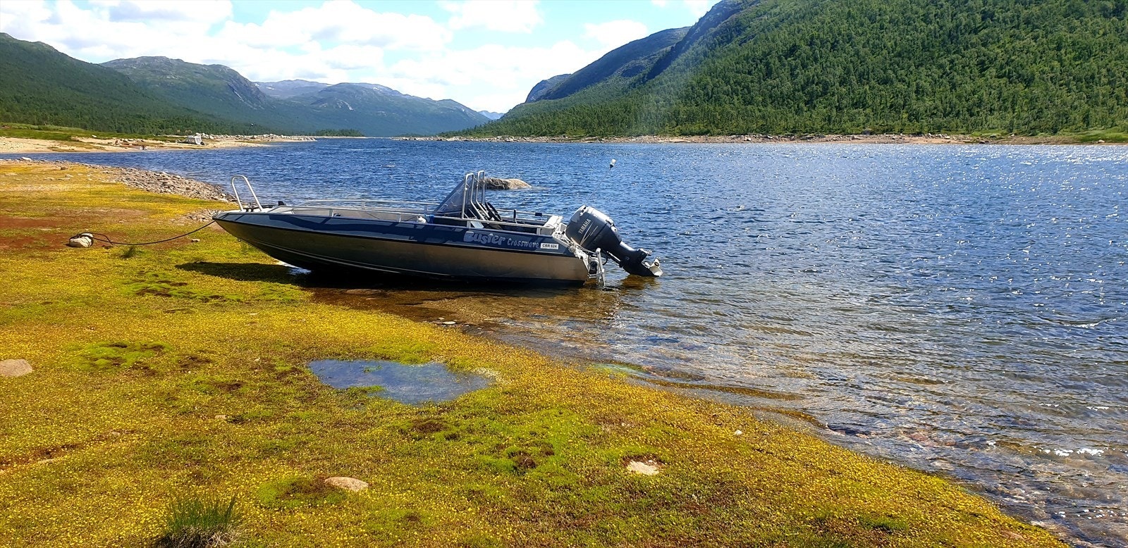 Selgers bilde Galleribilde