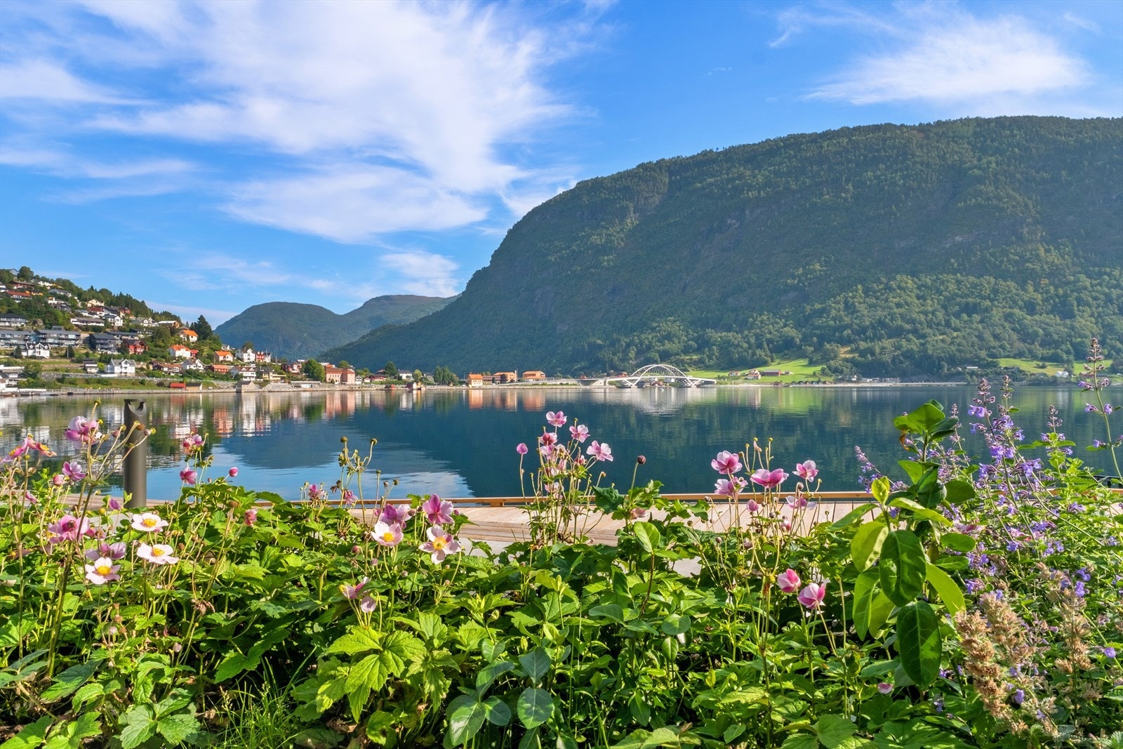 Her kan ein nyte det gode liv ved fjorden. Galleribilde