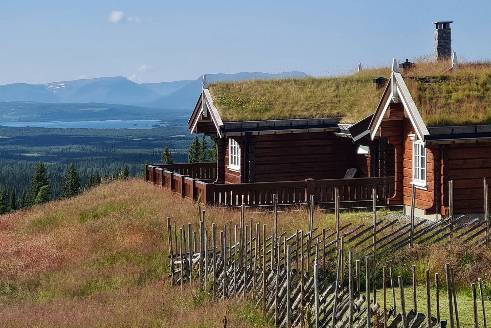 Selgers bilde. Galleribilde