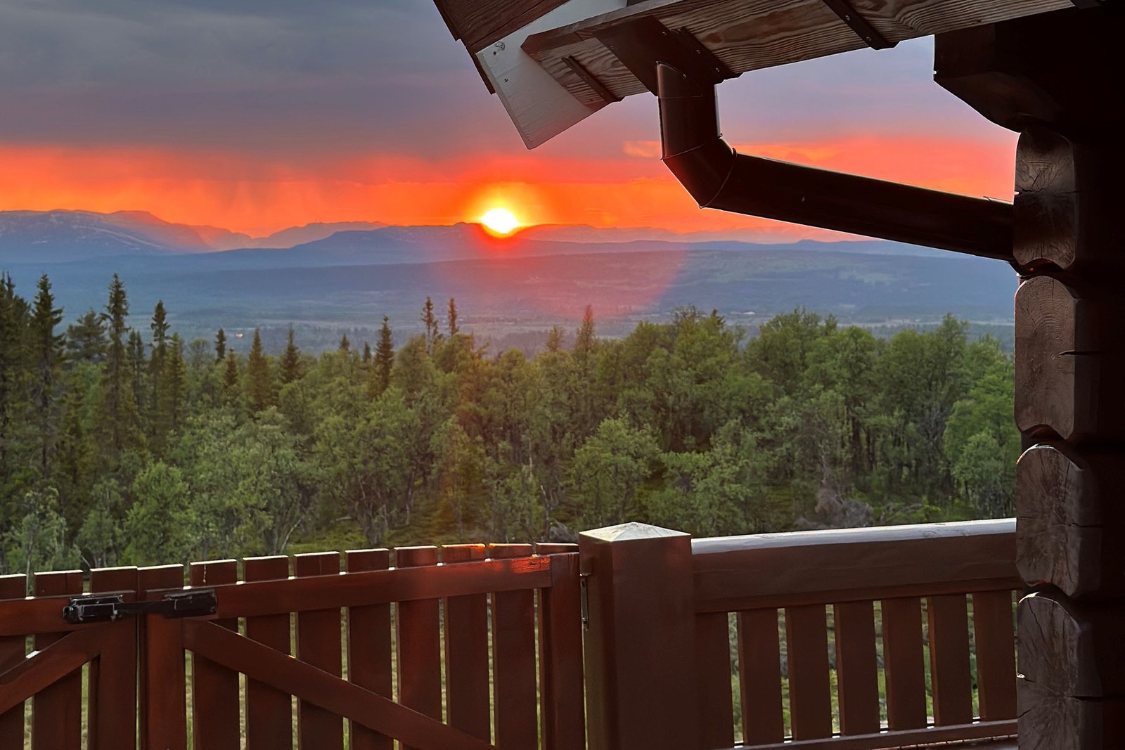 Selgers bilde. Galleribilde