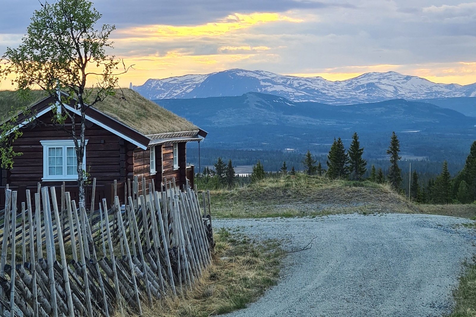 Selgers bilde. Galleribilde