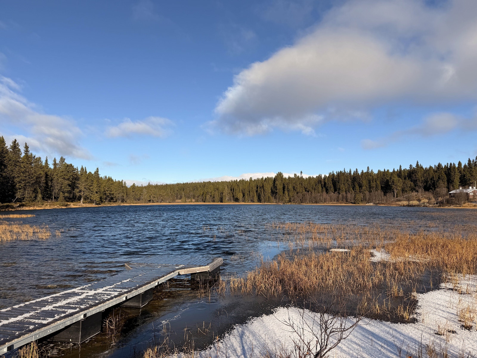 Måsåtjernet Galleribilde