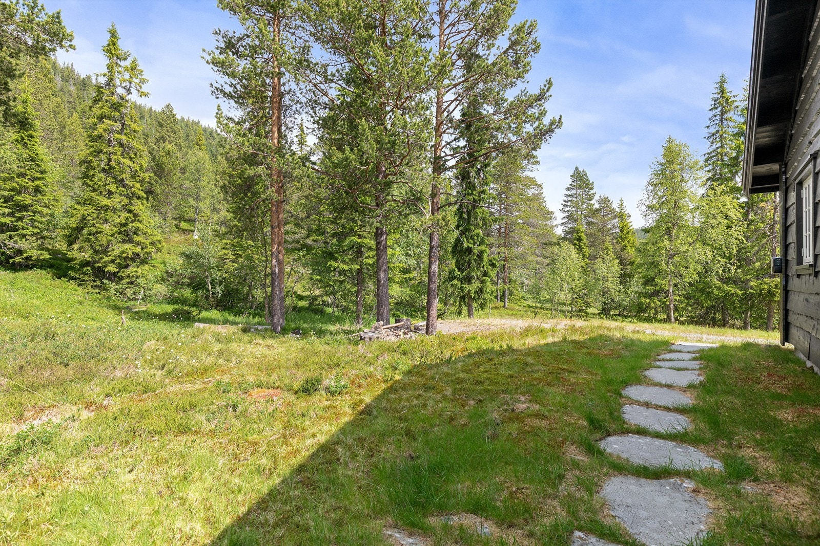 Koselig hage på baksiden av hytta Galleribilde