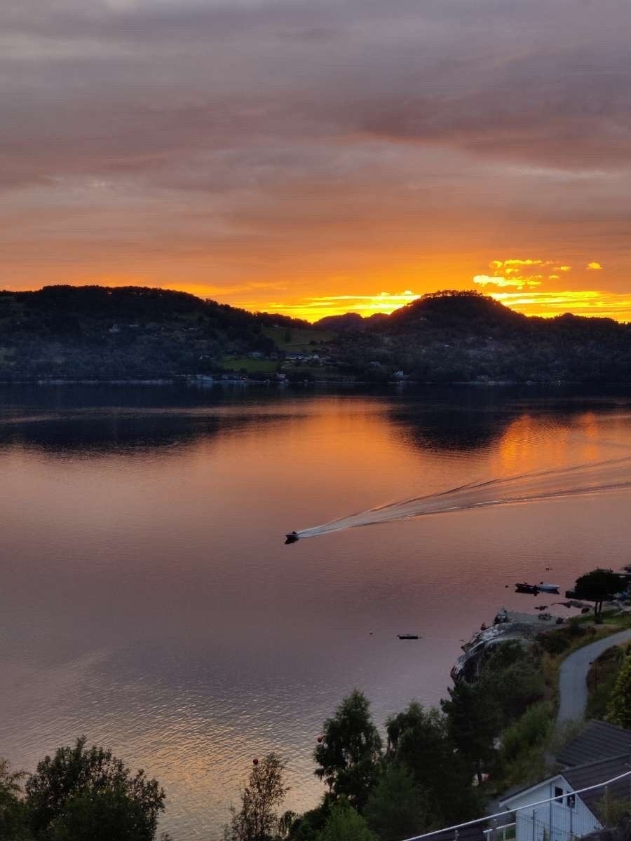 Selgers private bilder Galleribilde