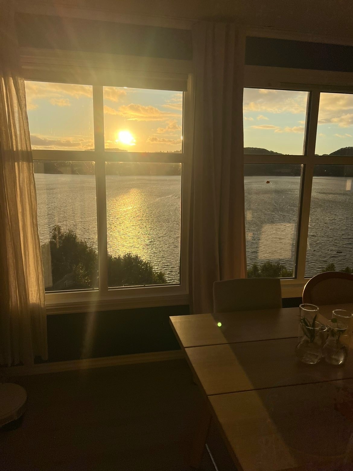 Selgers private bilder Galleribilde