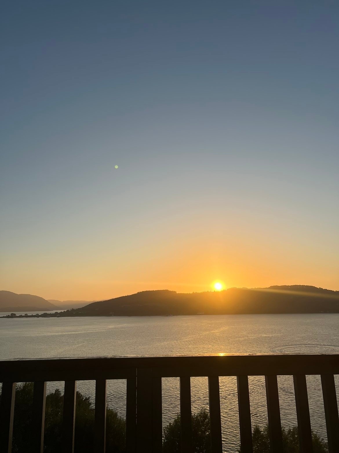 Selgers private bilder Galleribilde