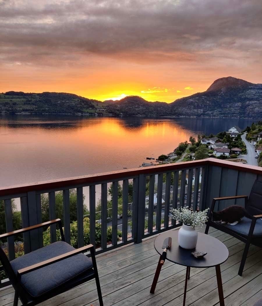 Selgers private bilder Galleribilde