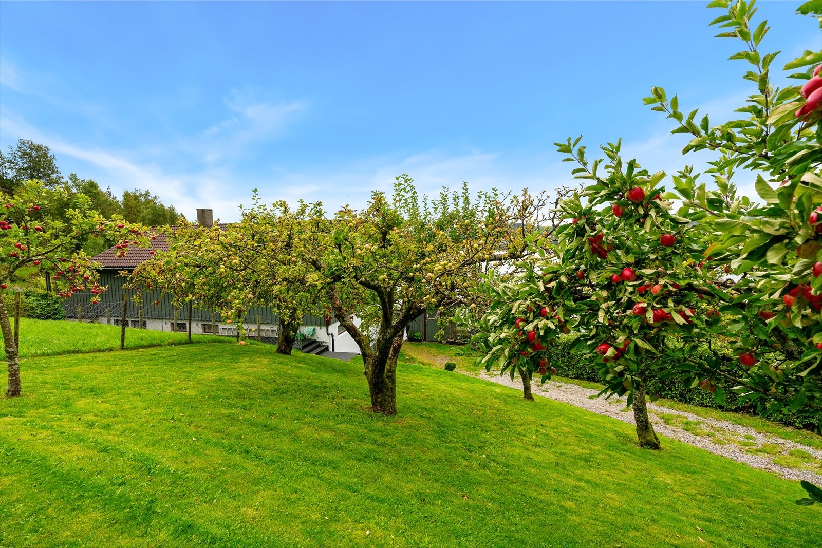 Bilder fra tidligere salg som viser sommerårstiden i Lysefjorden. Galleribilde