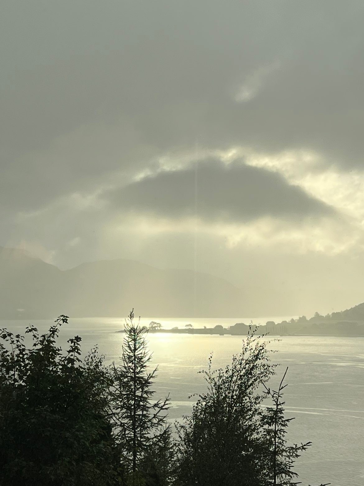 Selgers private bilder Galleribilde