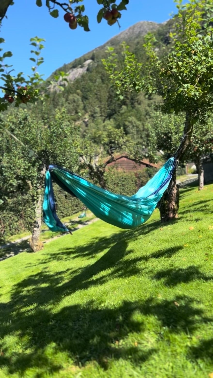 Selgers private bilder Galleribilde