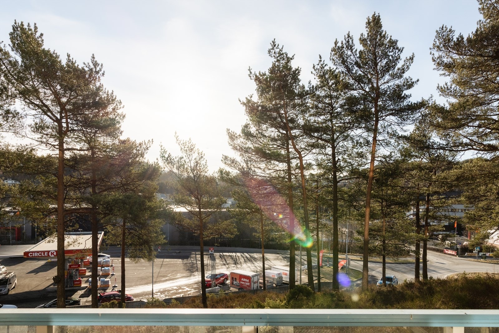 Trivelig uteplass med grønt og frodig preg Galleribilde