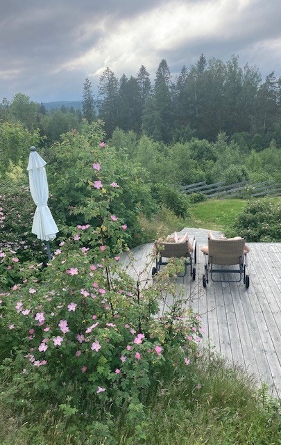 Selgers private bilder. Galleribilde