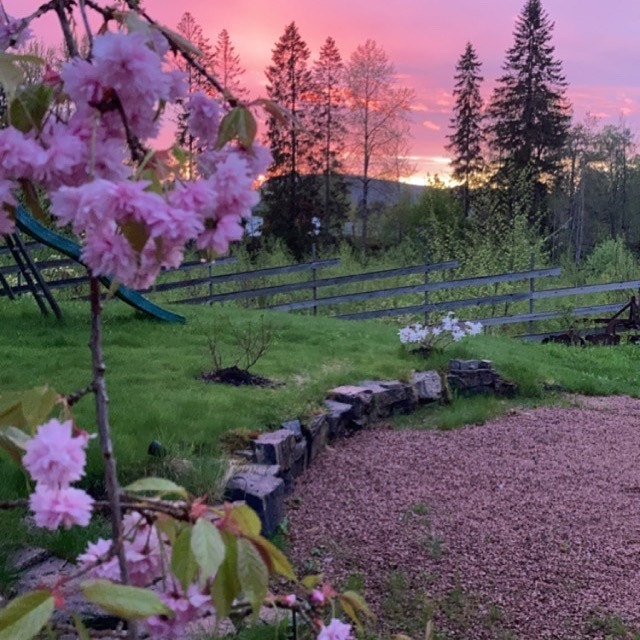 Selgers private bilder. Galleribilde