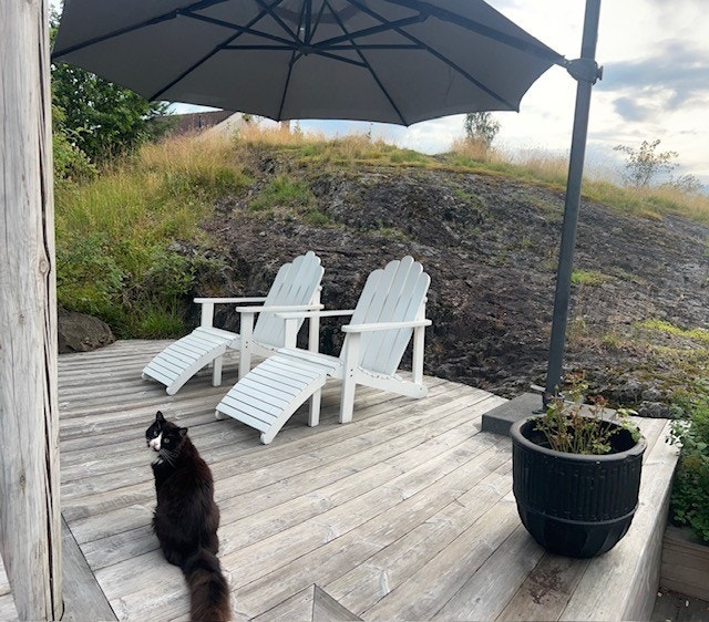 Selgers private bilder. Galleribilde