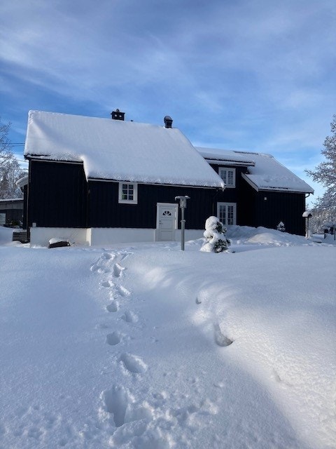 Selgers private bilder. Galleribilde