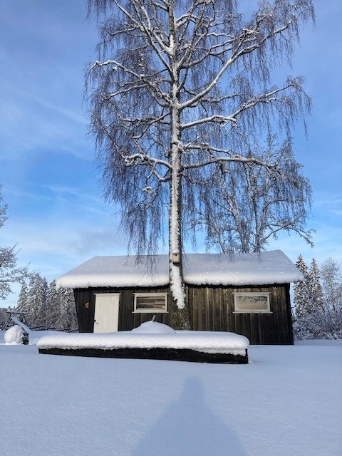 Selgers private bilder. Galleribilde