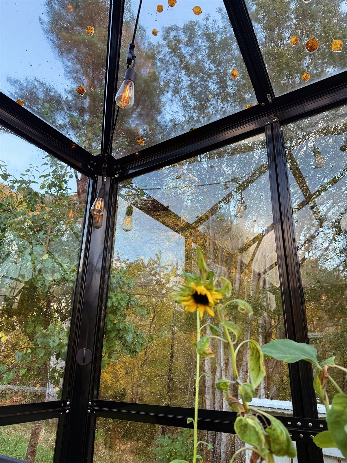 Selgers bilder av eiendommen Galleribilde