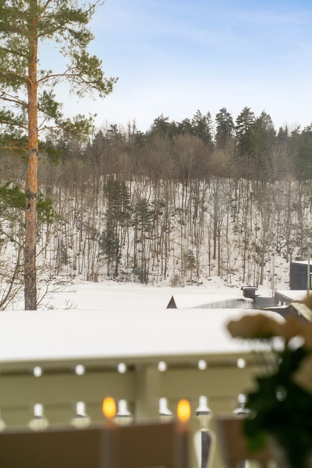 Fra eiendommen har du utsikt over et landlig og skogkledd landskap. Galleribilde