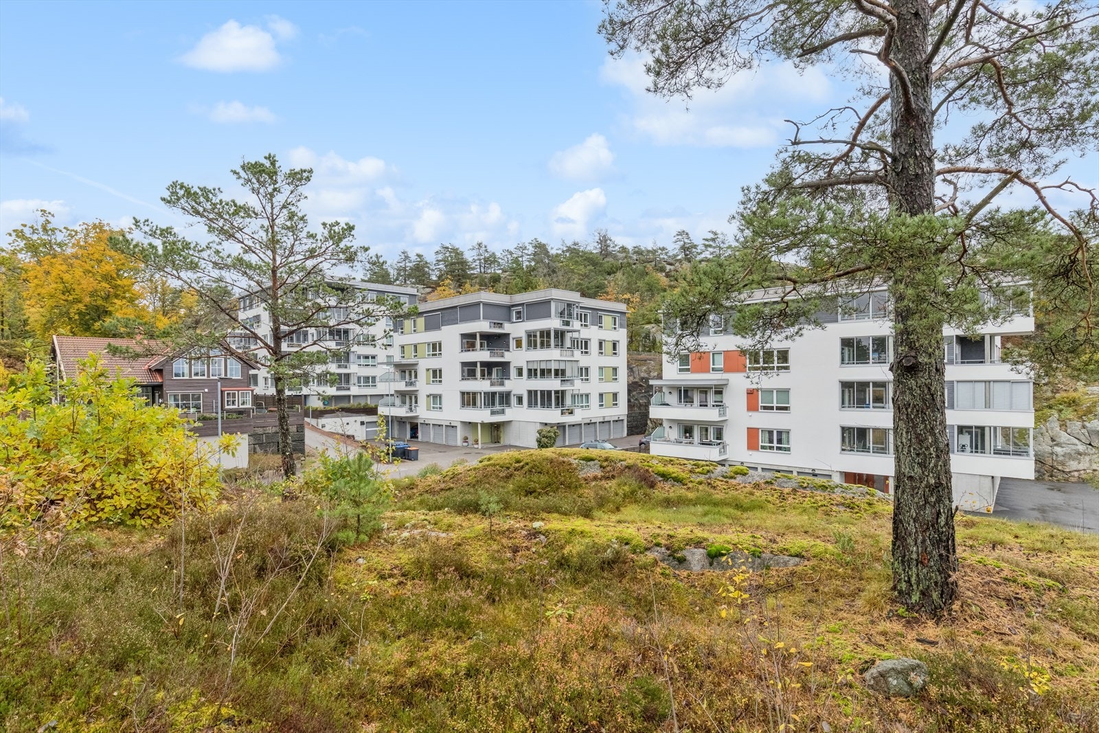 For den turglade sjel starter turen i skog og natur like ved leiligheten. Galleribilde