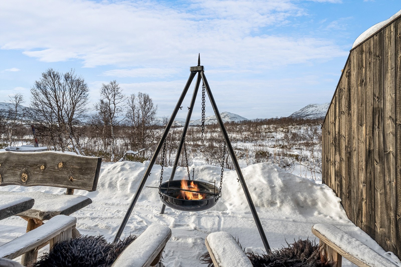 - Velkommen til Moltetunet 39 - Galleribilde