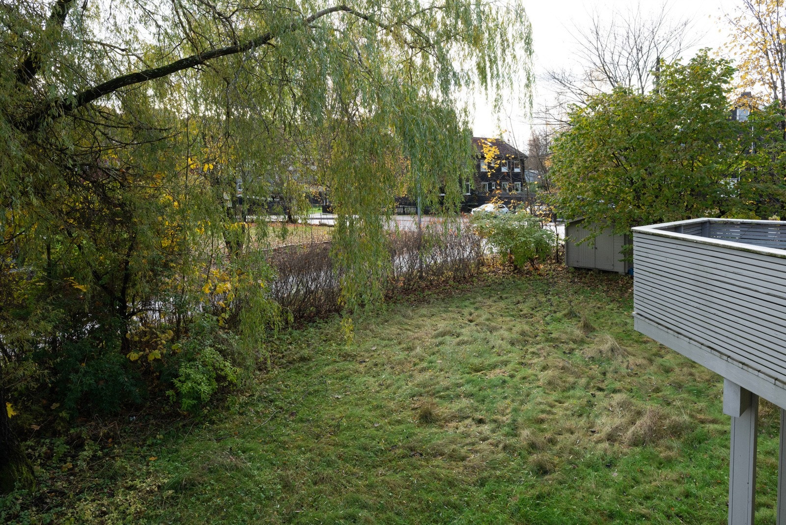 Pen hekk mot Ekkoveien Galleribilde