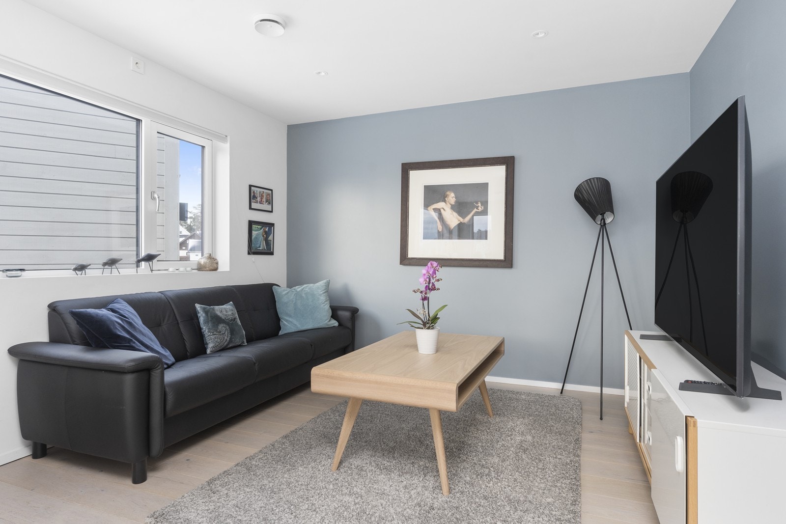 Tv-stue Galleribilde