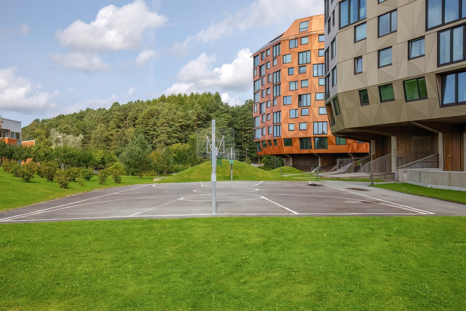 Nærområde Galleribilde