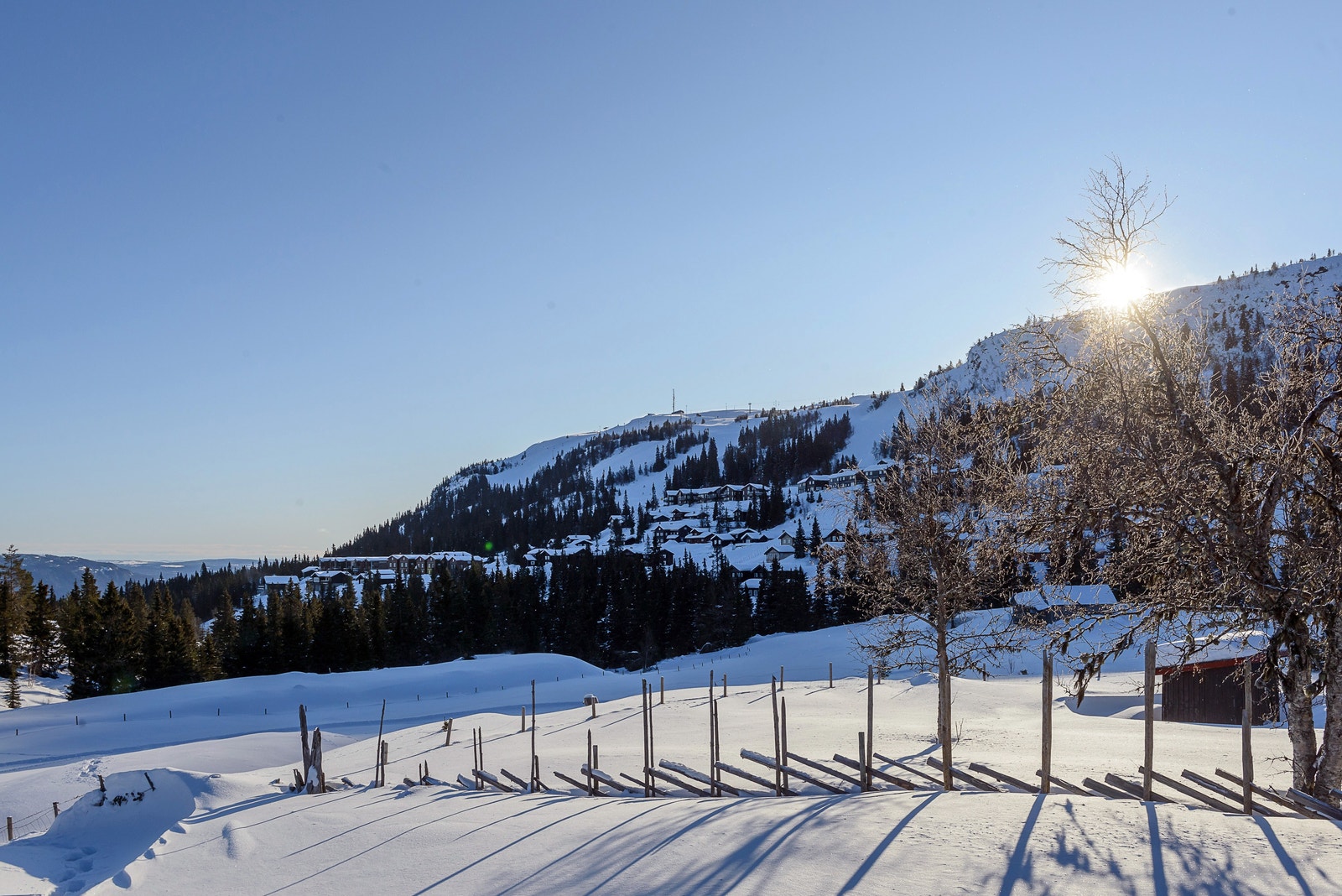 Utsikt mot alpinbakken Galleribilde