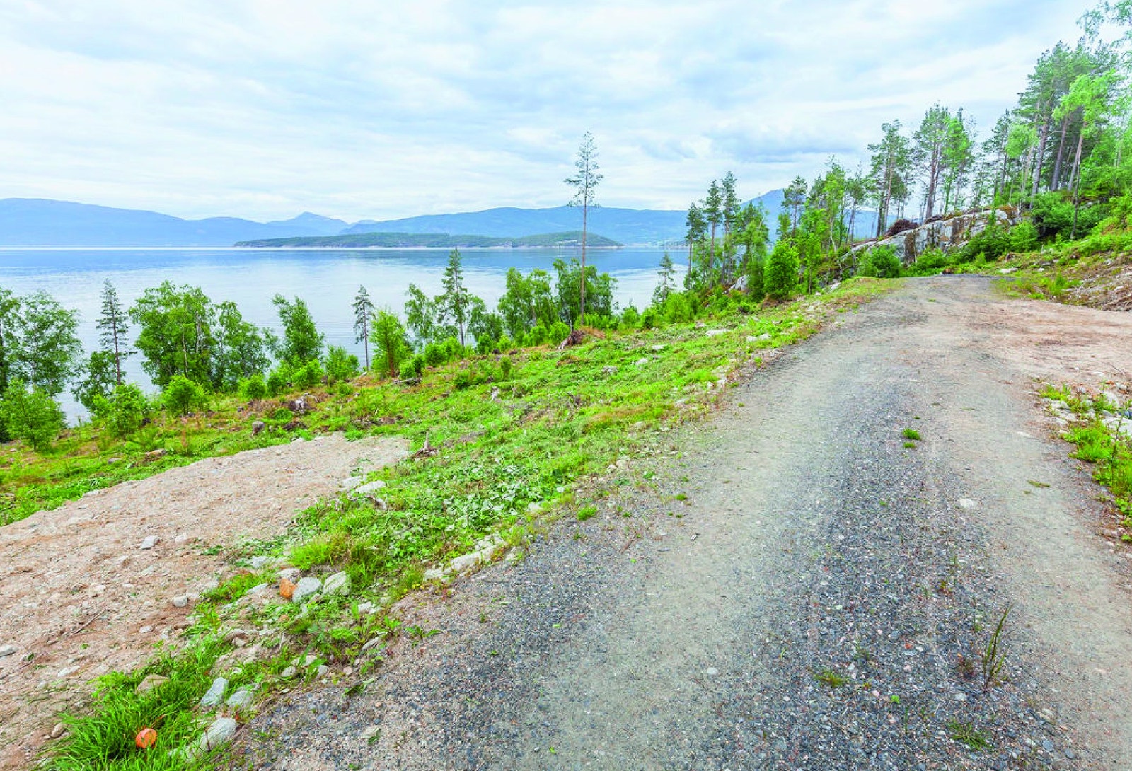 Tomt nr 1 Galleribilde