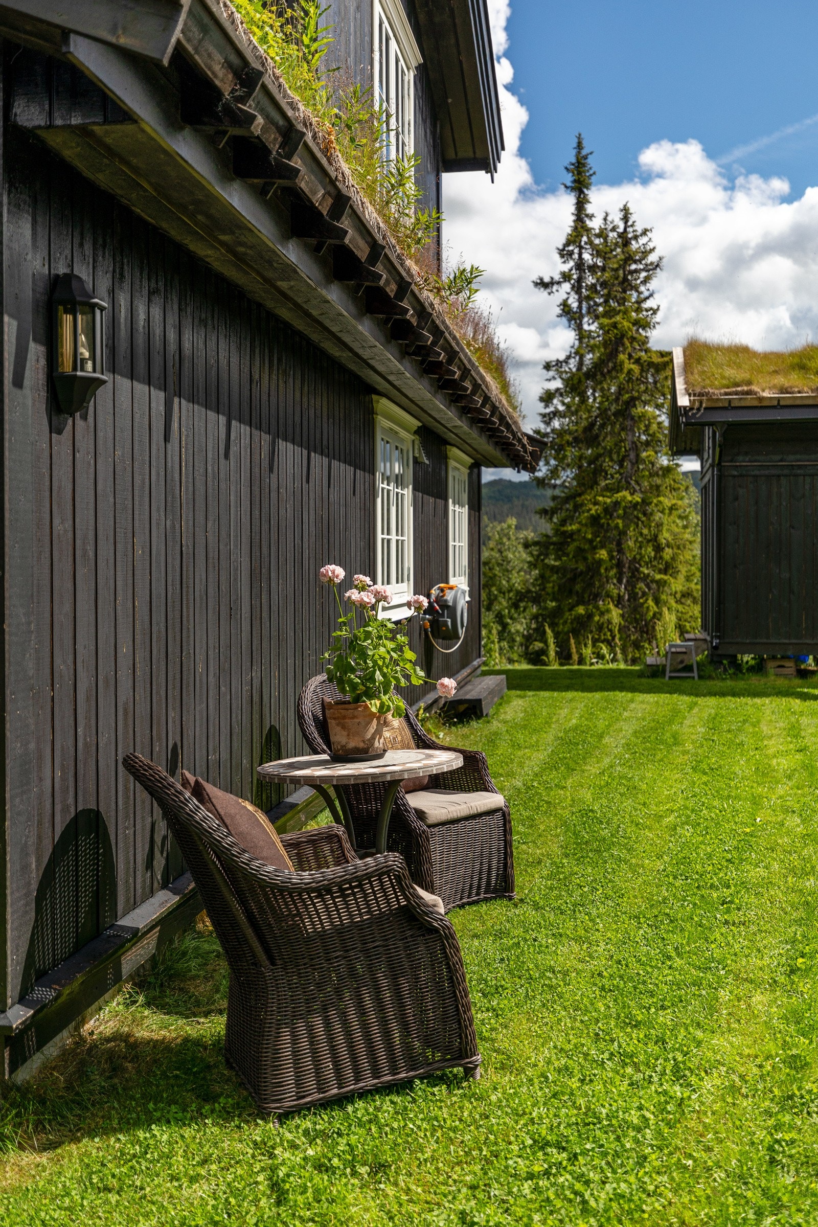 Flere utesoner rundt bebyggelsen Galleribilde