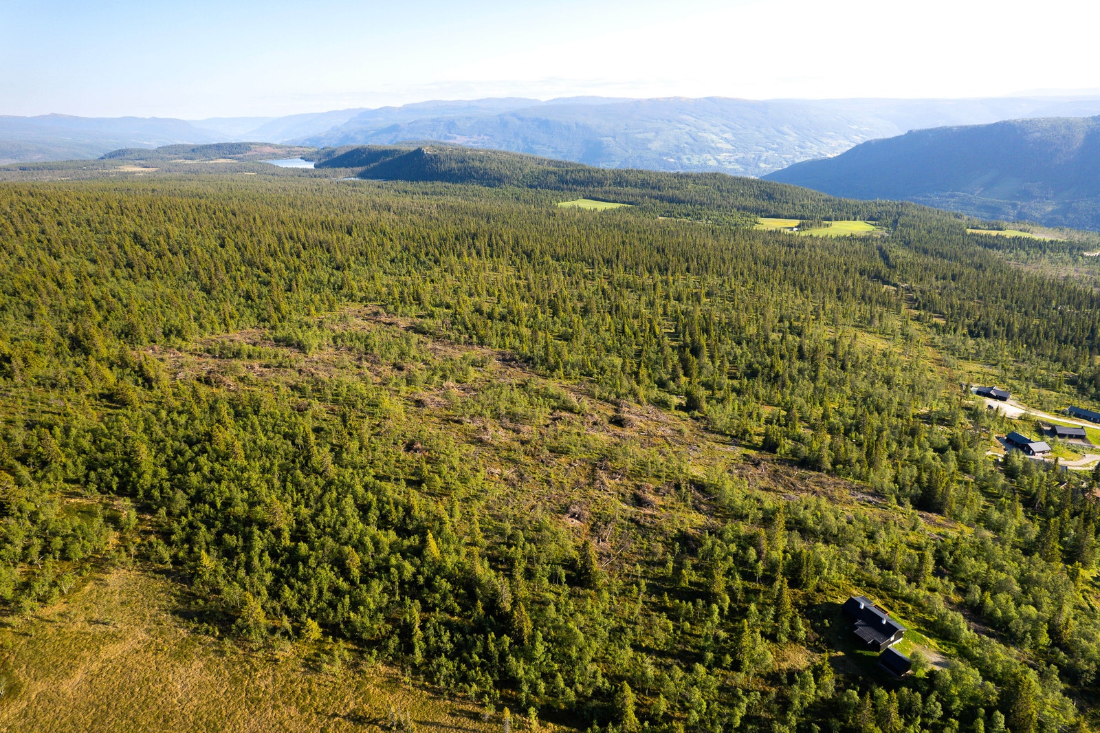 Utsikt fra hyttefelt Galleribilde