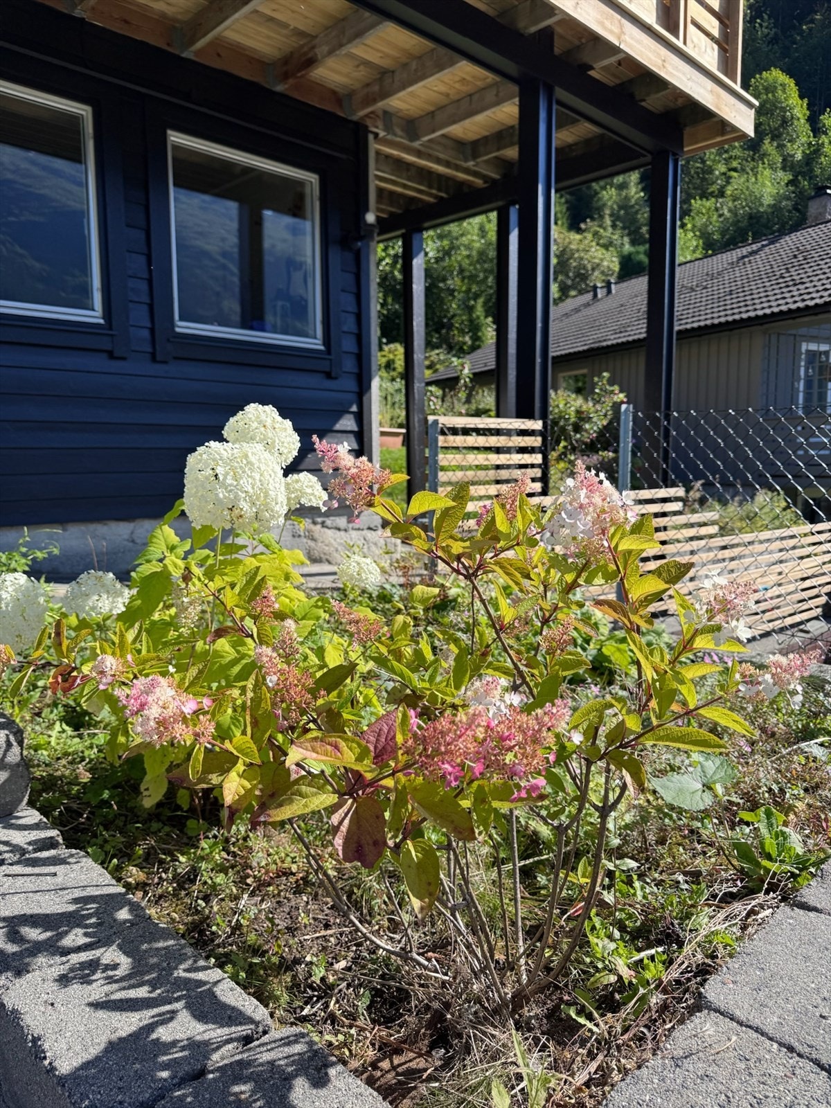 Bilder tatt av selger. Galleribilde