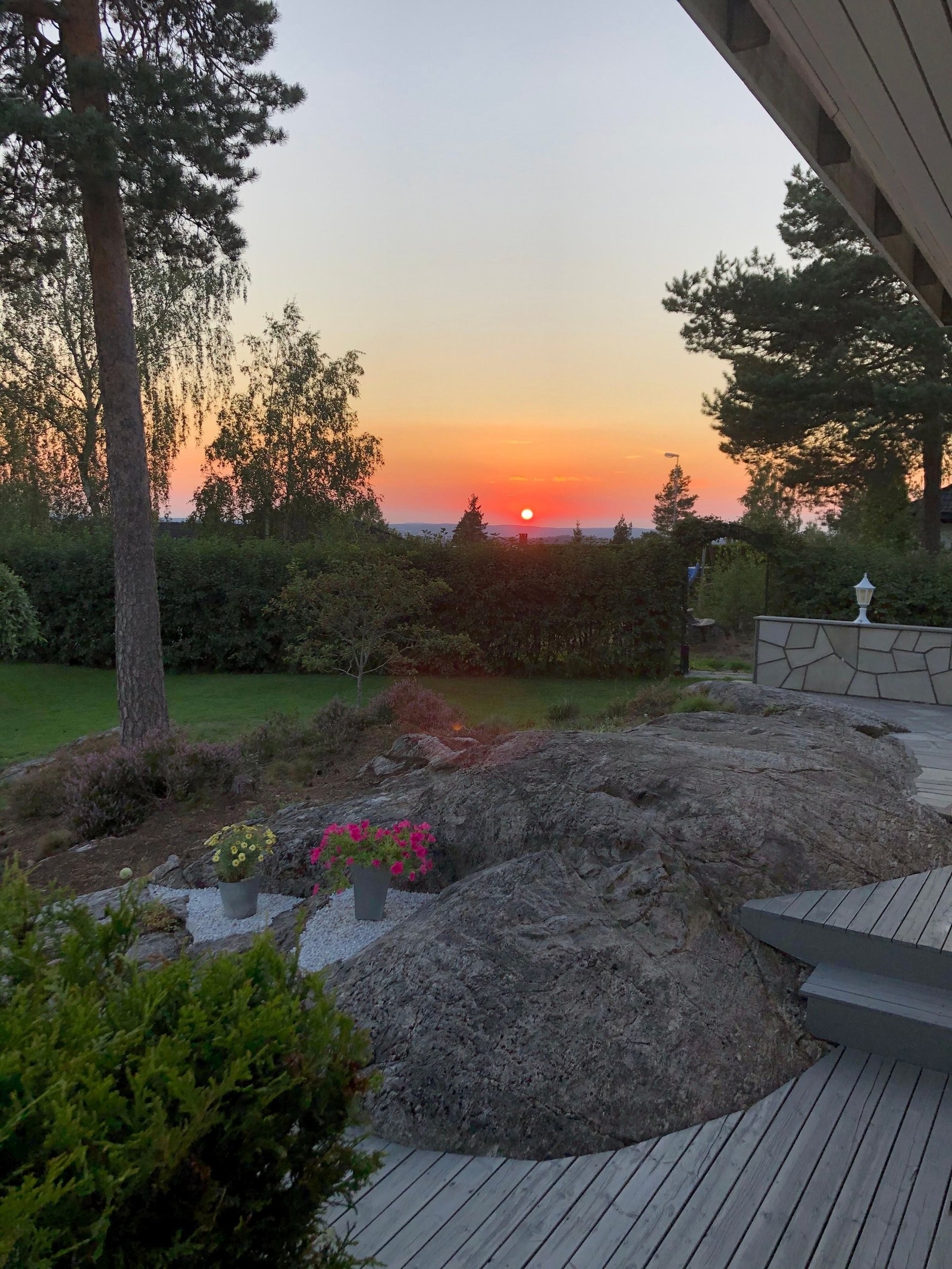 Sommer i Gopperudåsen 14 Galleribilde