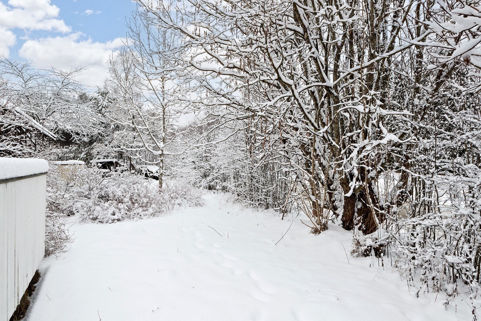 Tomten er opparbeidet med plen, hekk og diverse beplantning Galleribilde