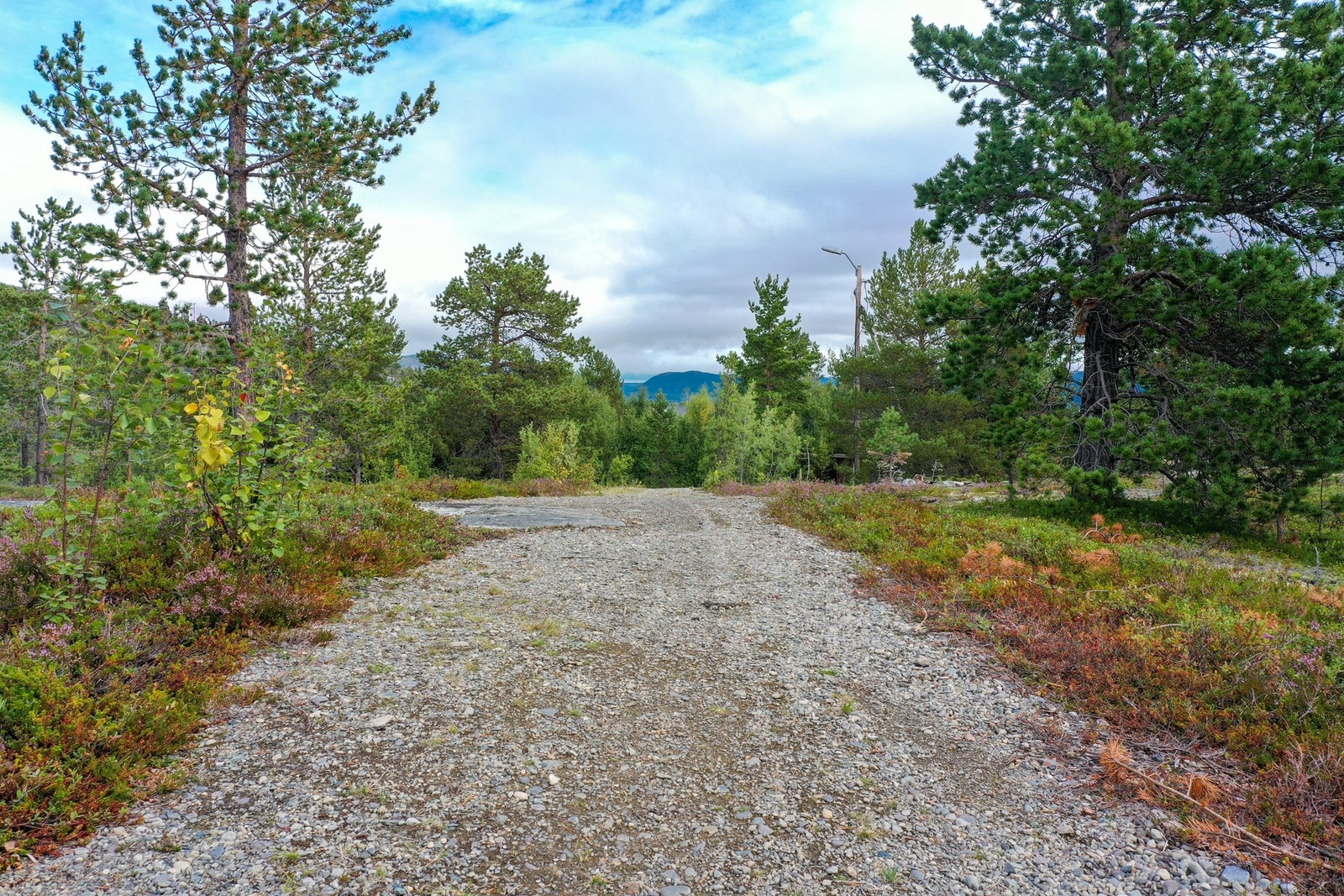 Komsaløypa går forbi borettslaget et fåtalls meter fra trappa til leiligheten. Galleribilde