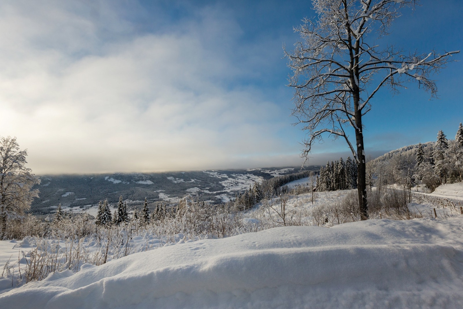 Fra terrassen kan den flotte utsikten nytes! Galleribilde