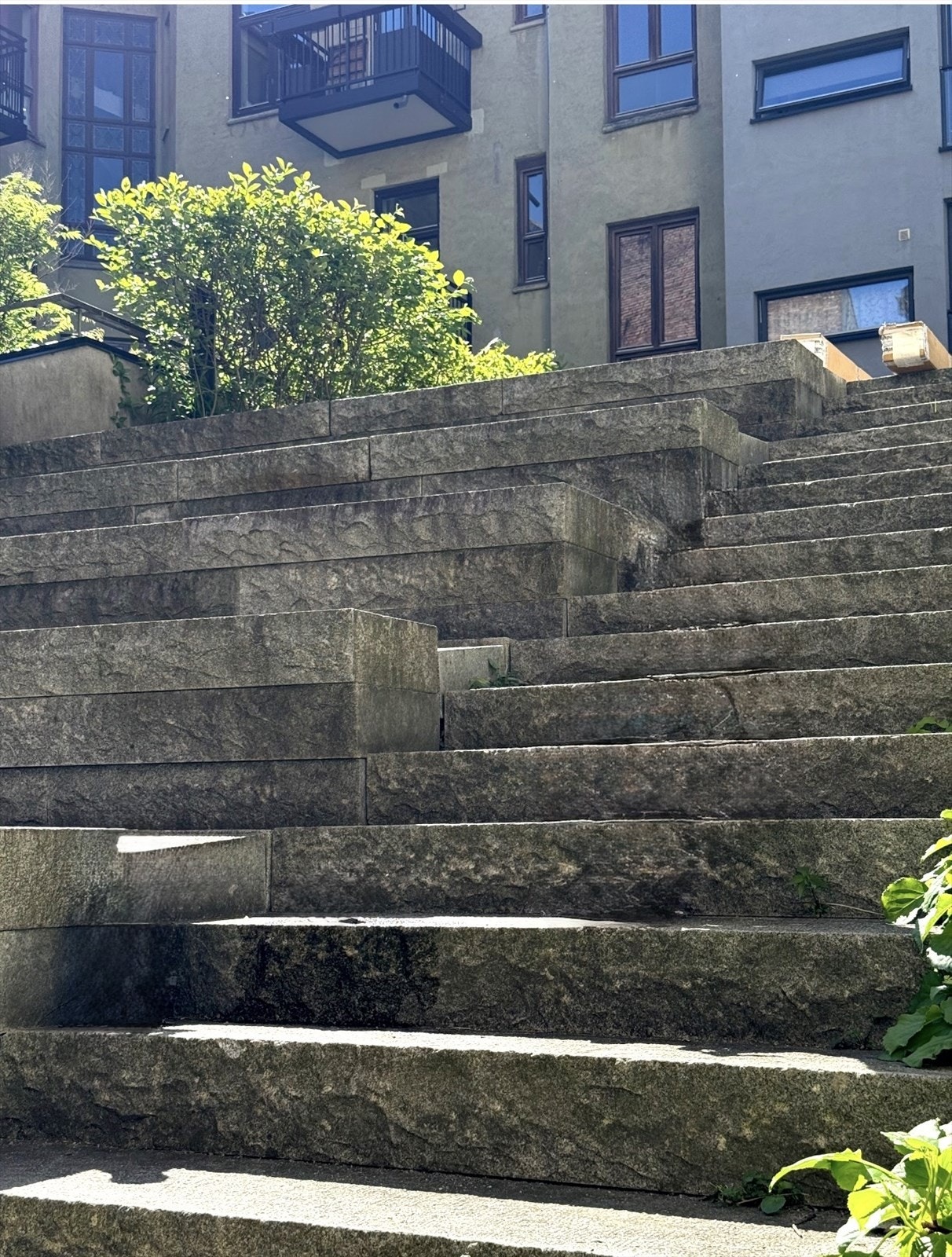 Selgers private bilder* Galleribilde