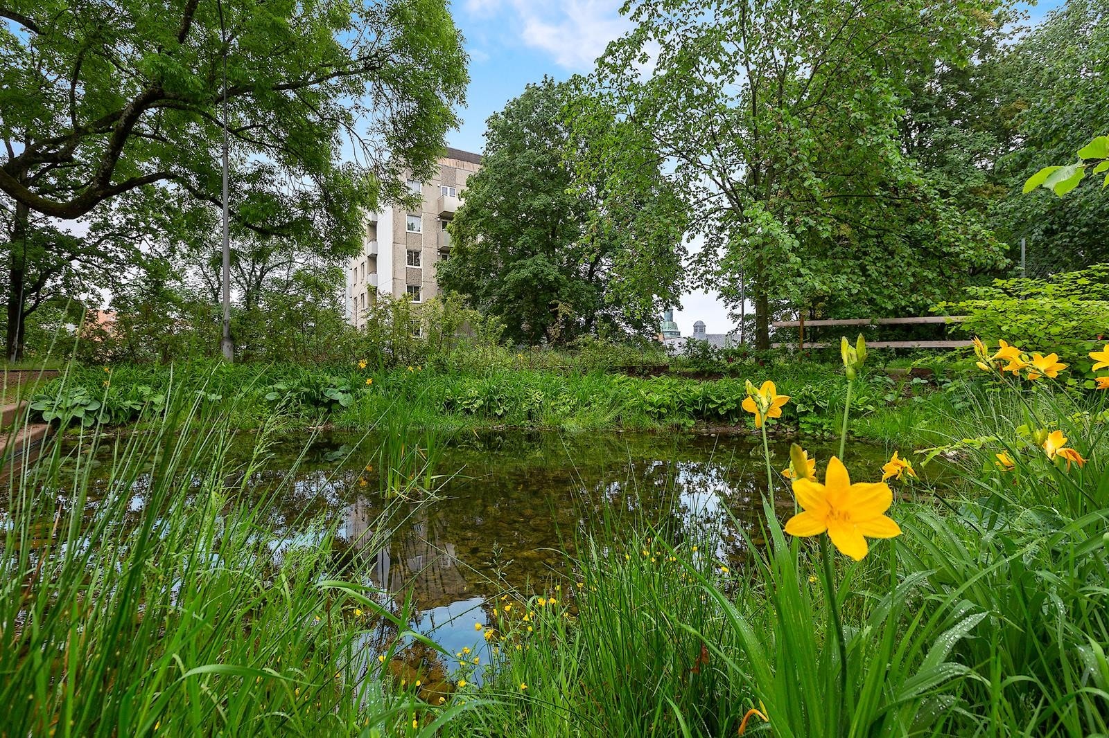 Gård 6 Galleribilde