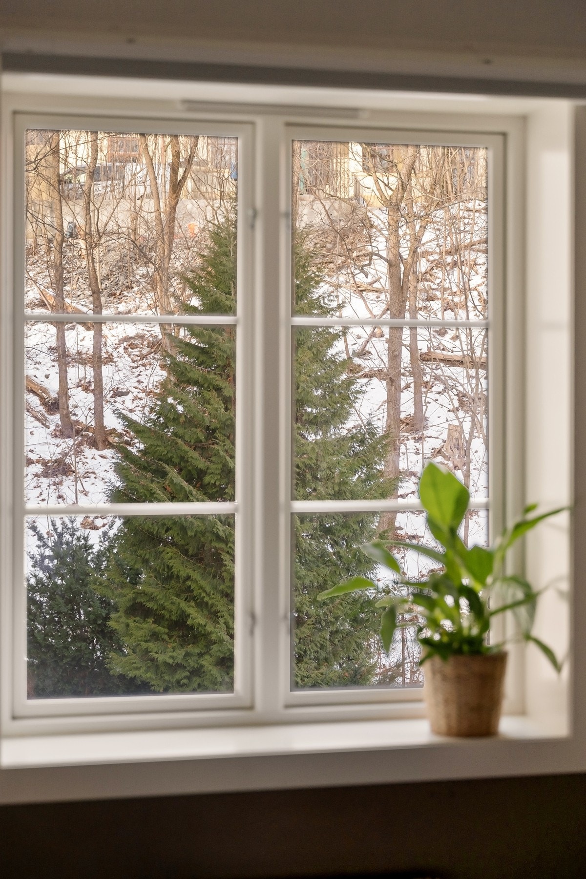 Soverommet vender mot bilfritt indre gårdsrom. Galleribilde