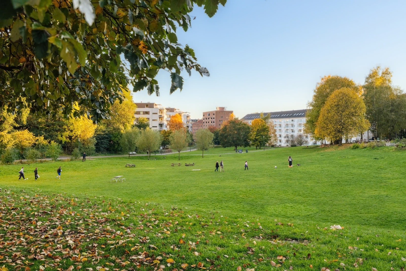 Iladalen park byr på store grøntområder. Galleribilde