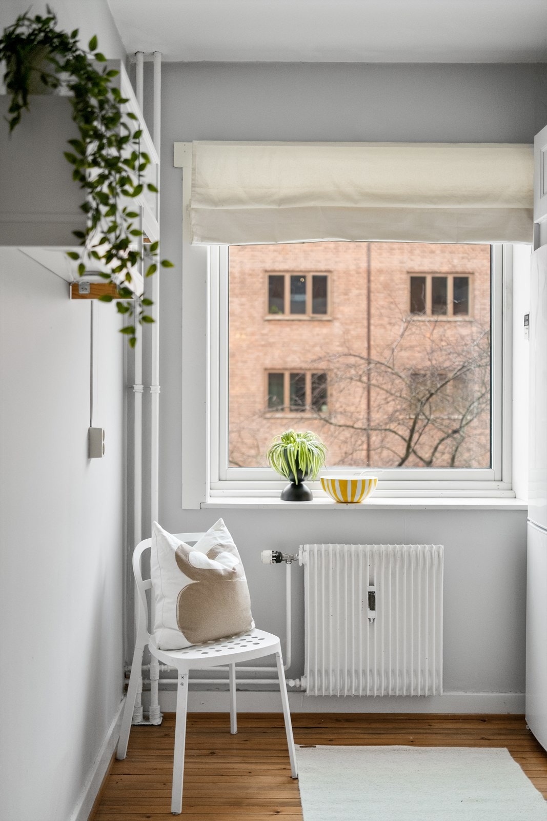 Leiligheten har separat kjøkken. Galleribilde