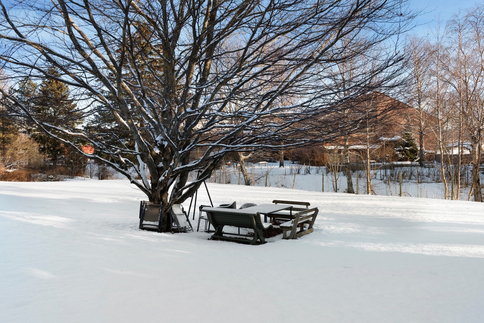Romslig tomt / hage på over 1,4 mål. Galleribilde