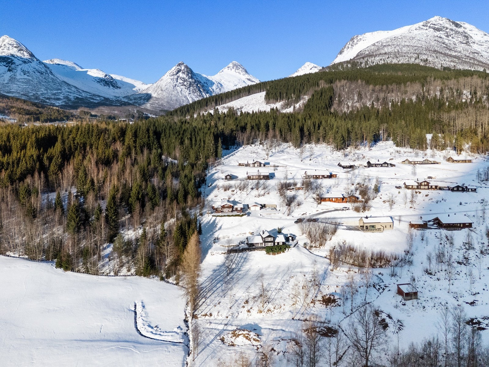 Omenås Hyttegrend. Galleribilde