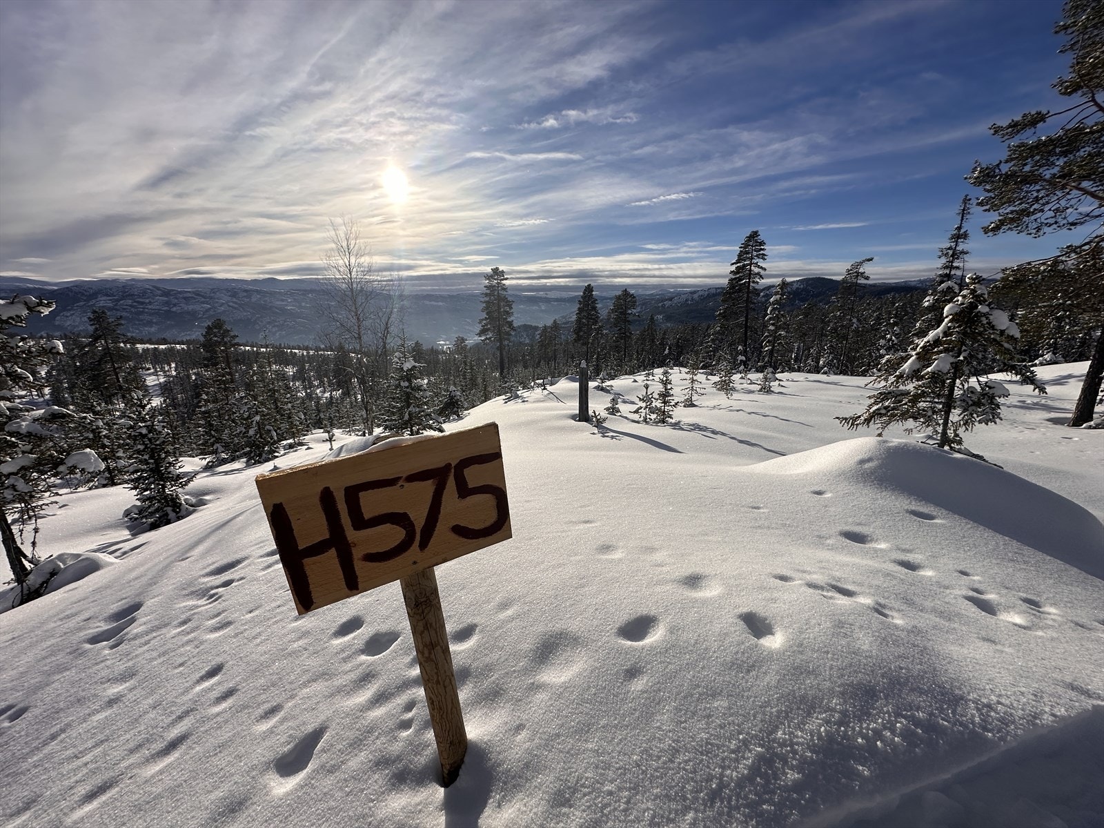 Utsikt fra Slåttelia Galleribilde