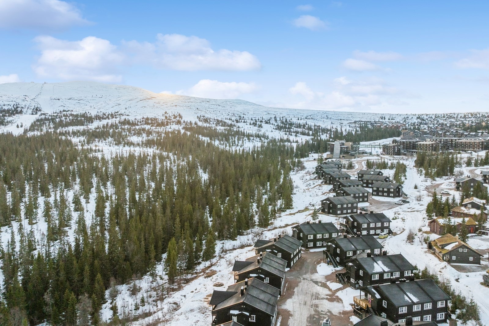 For langrennsentusiaster er det kun 15 meter til nærmeste preparerte løype. Galleribilde