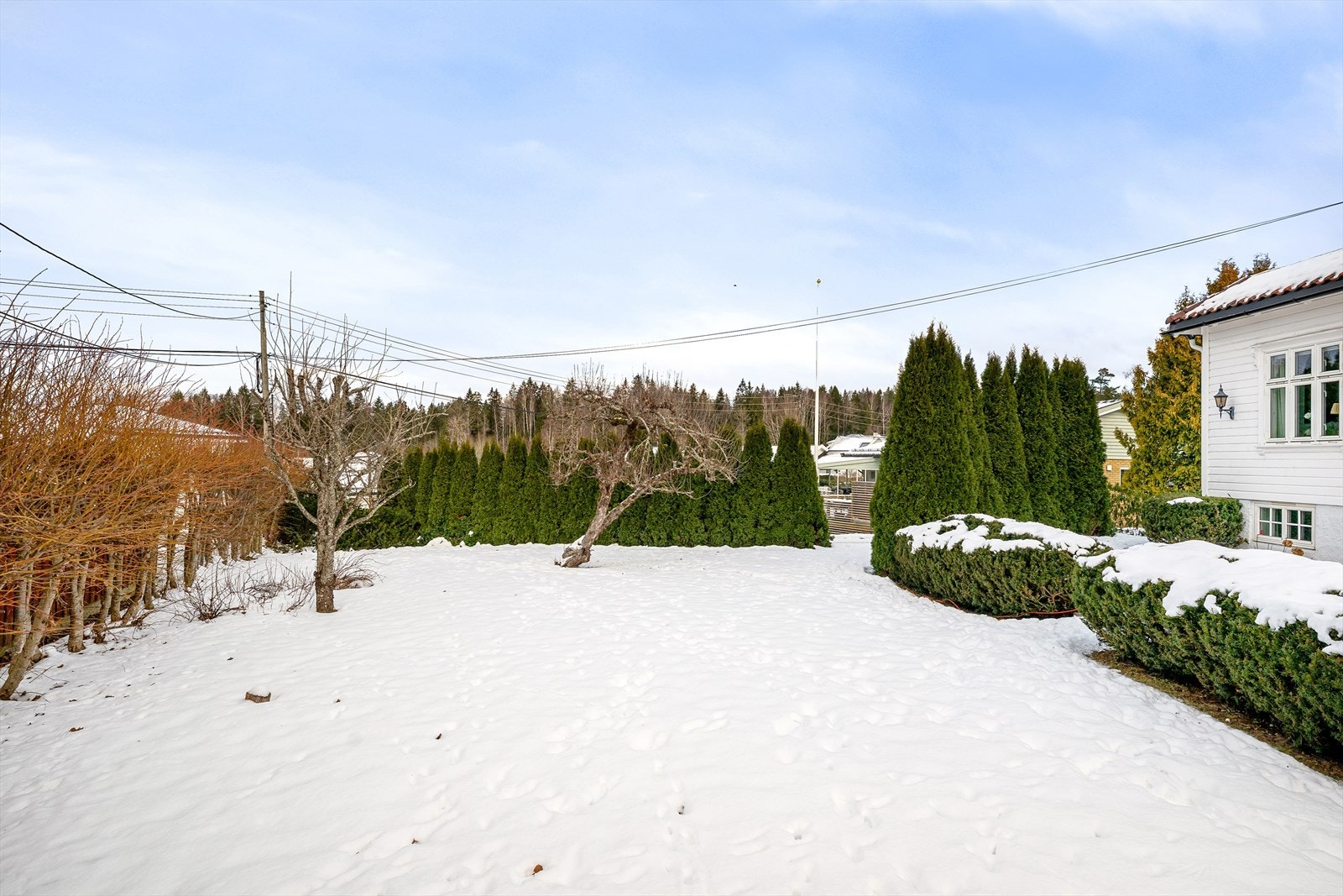 Hageområde Galleribilde