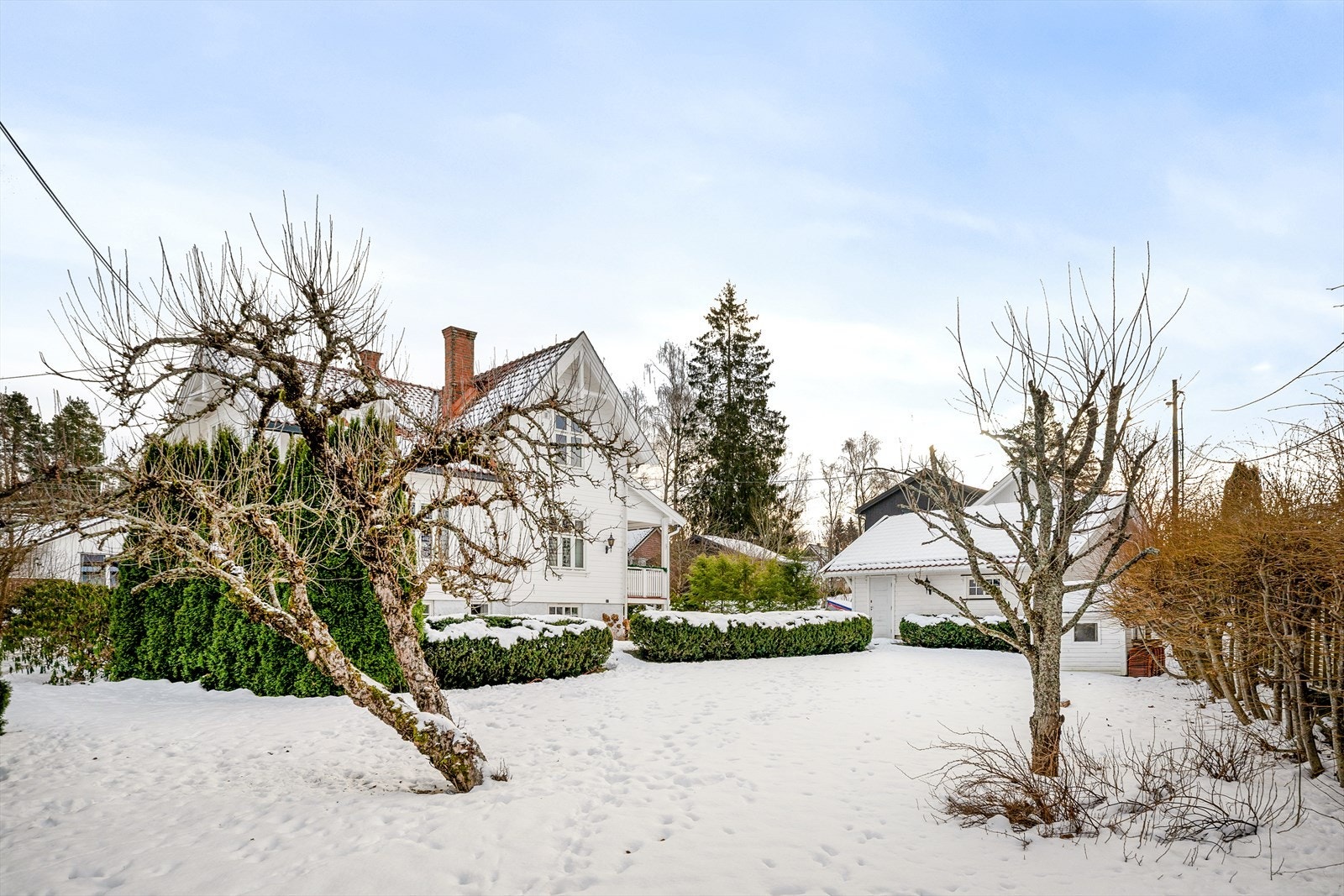 Hageområde Galleribilde