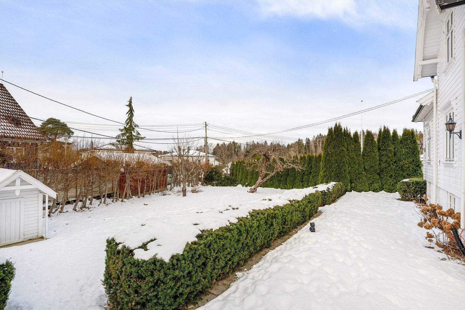 Hageområde Galleribilde