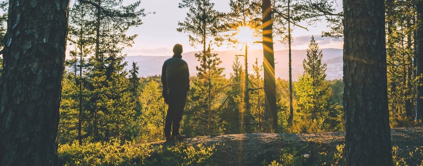 Nærområdet - Herlige friluftsmuligheter med marka lett tilgjengelig Galleribilde
