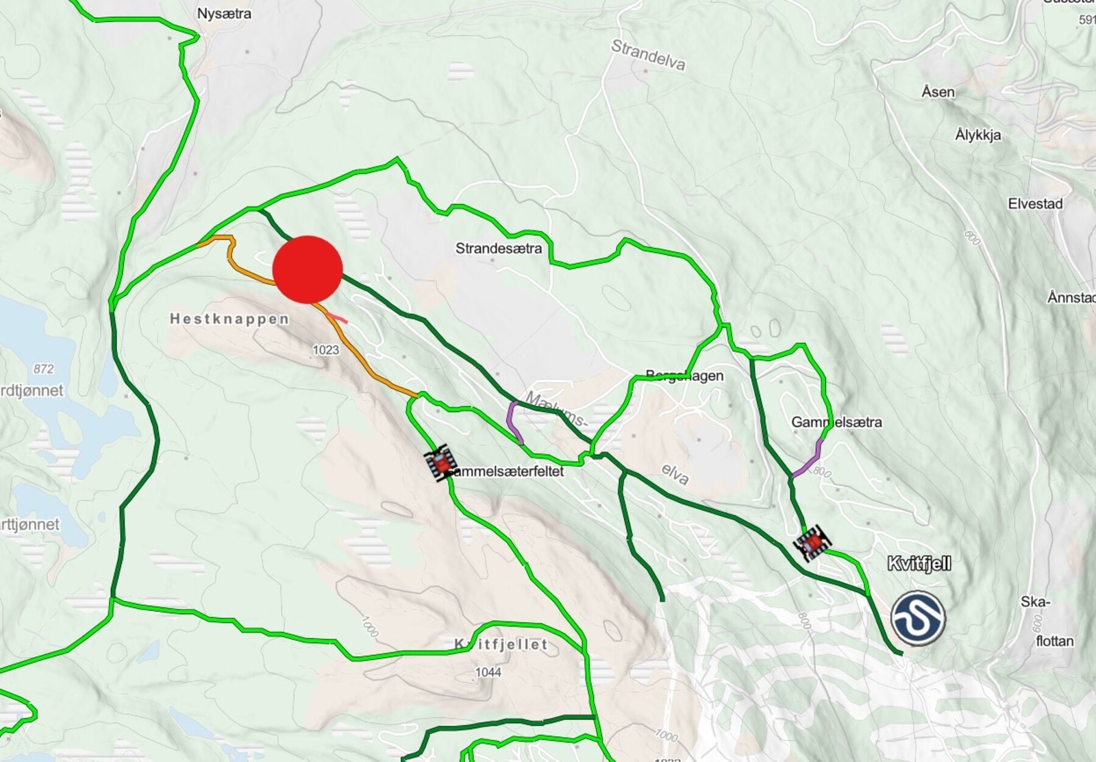 Utsnitt fra skisporet.no som viser løypenettet for langrenn rundt området på Hestknappen Galleribilde